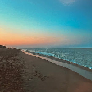 Meet your Posher, Kali